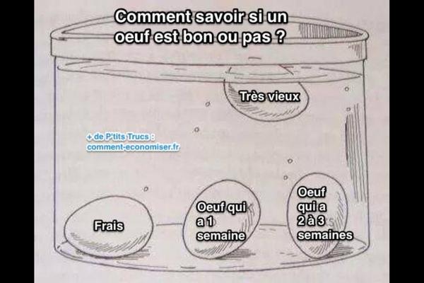 Que Faire Avec des Oeufs Périmés ? 13 Utilisations Pour la Maison et