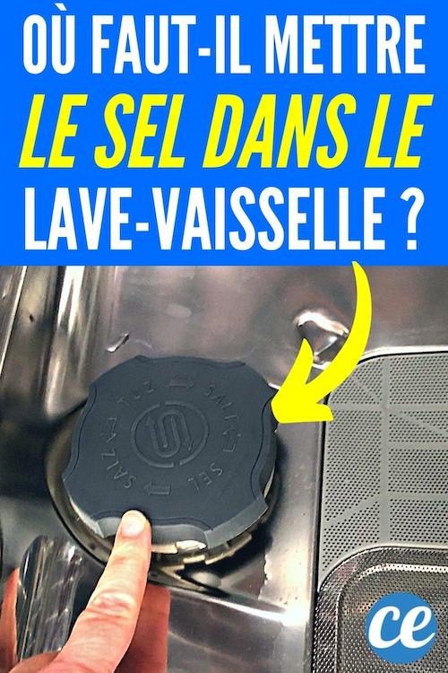 Où Mettre le Sel Dans le LaveVaisselle (Et à Quoi Ça Sert)
