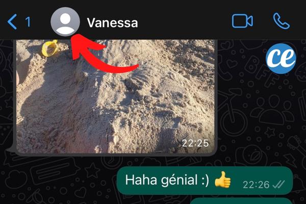 Un profil whatsapp sans photo qui montre que le contact a été bloqué