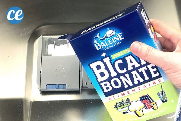 Passoire à Presse Pour Aliments – Presse Paneer Maker, Presse à Paneer | Presse Paneer Adaptée Au Lave-Vaisselle, Sans Odeur Et Facile à Utiliser Pour Faire Ferme, Et Plats Délicieux, Expr