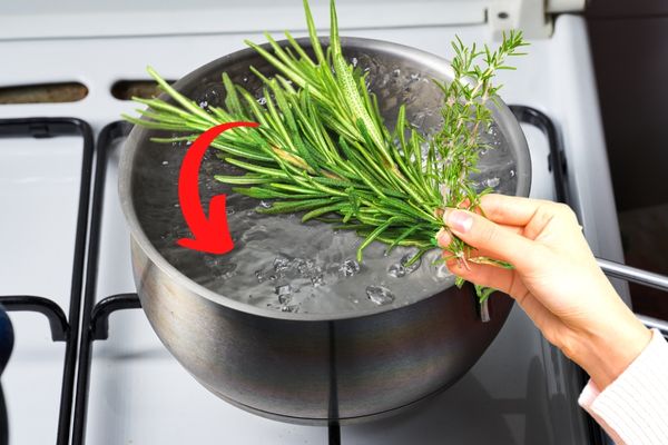 Pourquoi Tout le Monde Fait Bouillir du Romarin ? L'Astuce Méconnue.