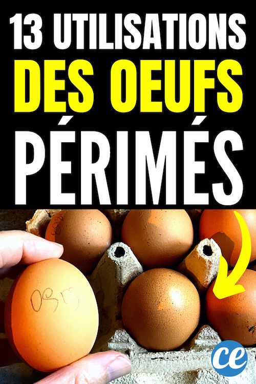 Que Faire Avec des Oeufs Périmés ? 13 Utilisations Pour la Maison et Jardin.