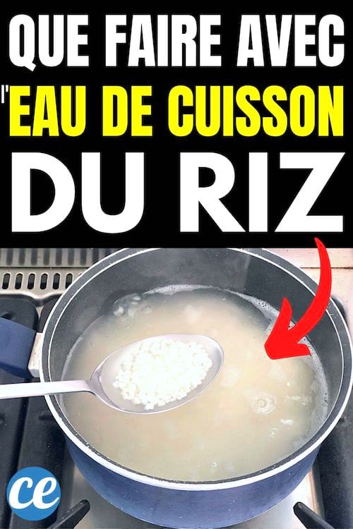 16 Bienfaits Méconnus de l