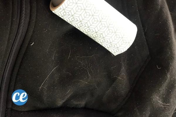 Vêtements noir avec pleins de poils d'animaux