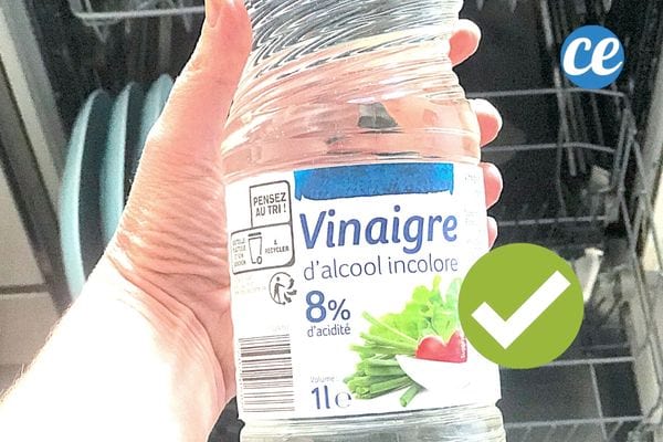 Une personne tenant une bouteille de vinaigre d'alcool incolore au dessus d'un lave-vaisselle