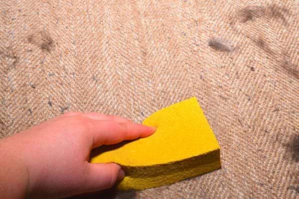 Une personne nettoyant les poils d'animaux avec une éponge jaune