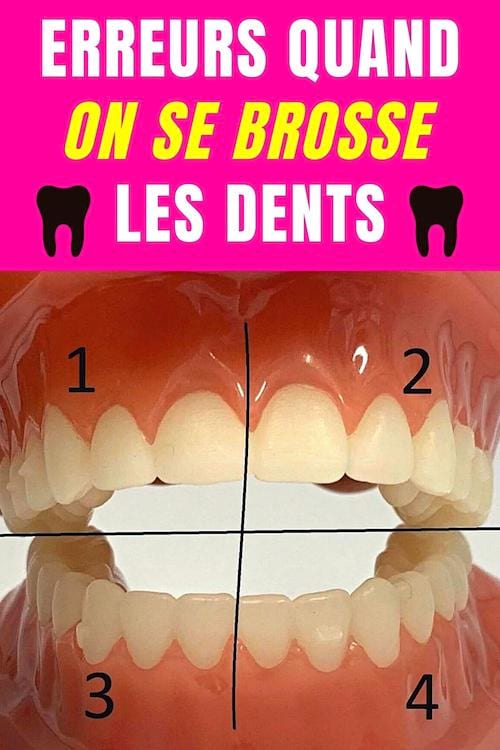 12 Erreurs Que L’On Fait En Se Brossant Les Dents (Révélées Par Mon ...