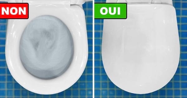 The open and closed toilet bowl with a No and a Yes