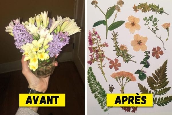 Une personne tenant un pot de fleurs