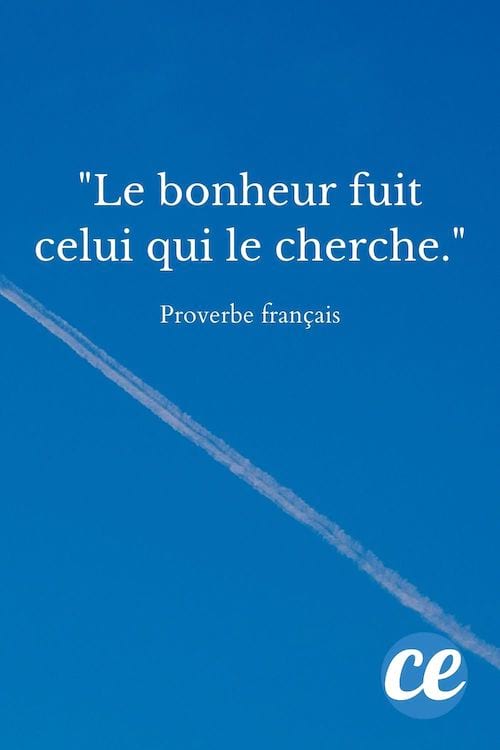 Le bonheur fuit celui qui le cherche.