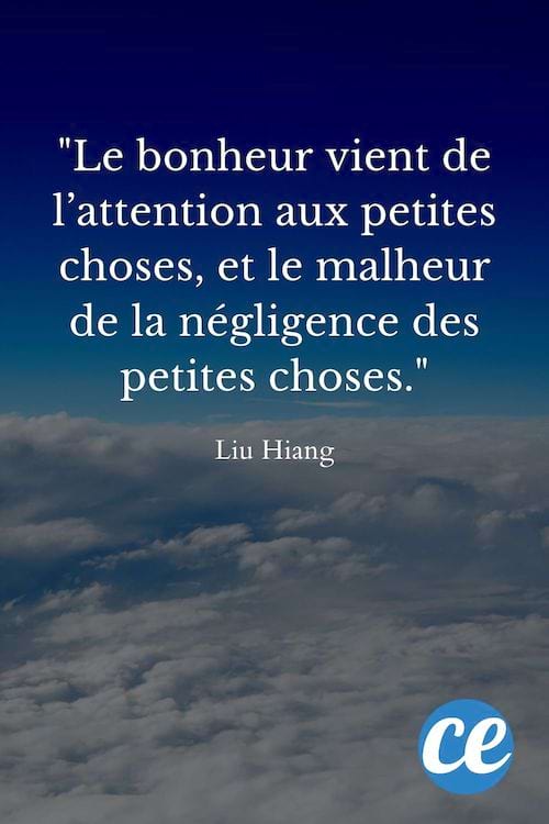 Le bonheur vient de l’attention aux petites choses.