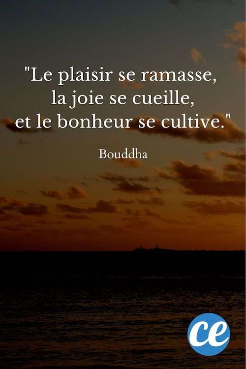 Le plaisir se ramasse, la joie se cueille, et le bonheur se cultive.