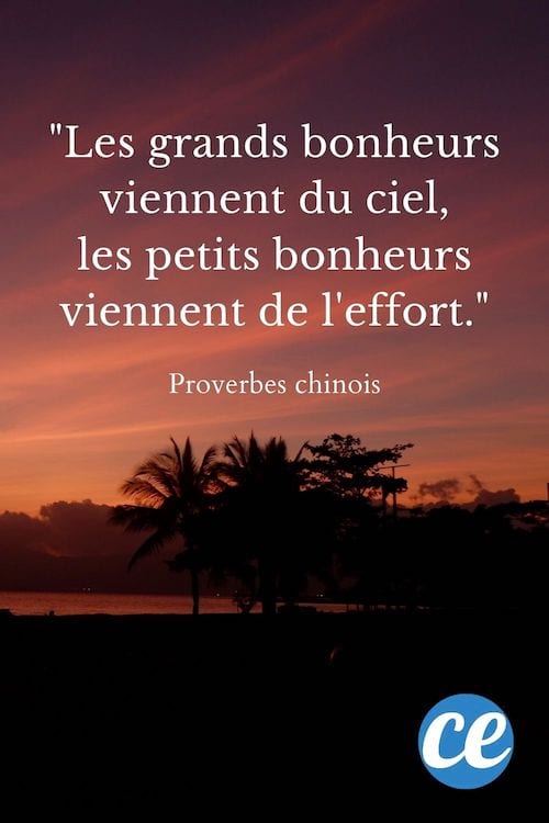 Les grands bonheurs viennent du ciel, les petits bonheurs viennent de l'effort.