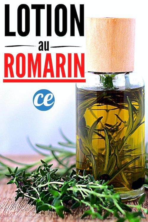 Bouillir du romarin pour faire une lotion avec des bienfaits