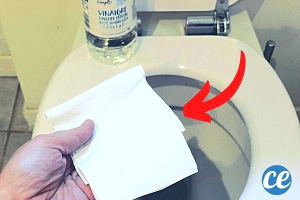 Du papier toilette directement mis sur la cuvette des WC pour détartrer
