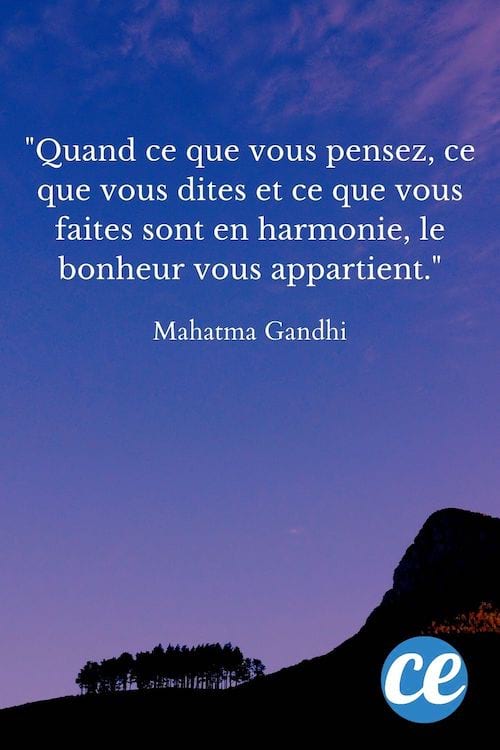 Quand ce que vous pensez, ce que vous dites et ce que vous faites sont en harmonie.