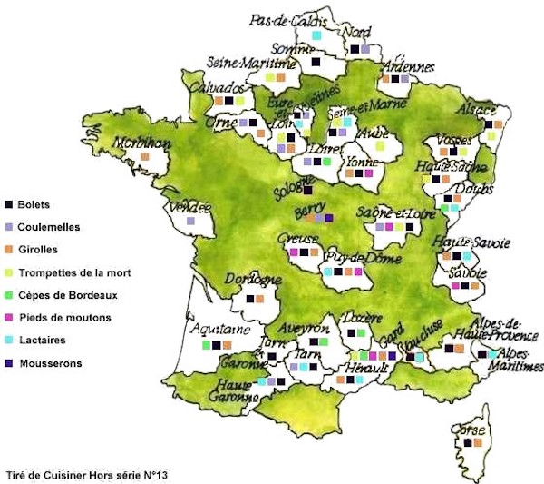 Où Trouver Des Champignons En Ce Moment ? La Carte Des Coins Secrets.