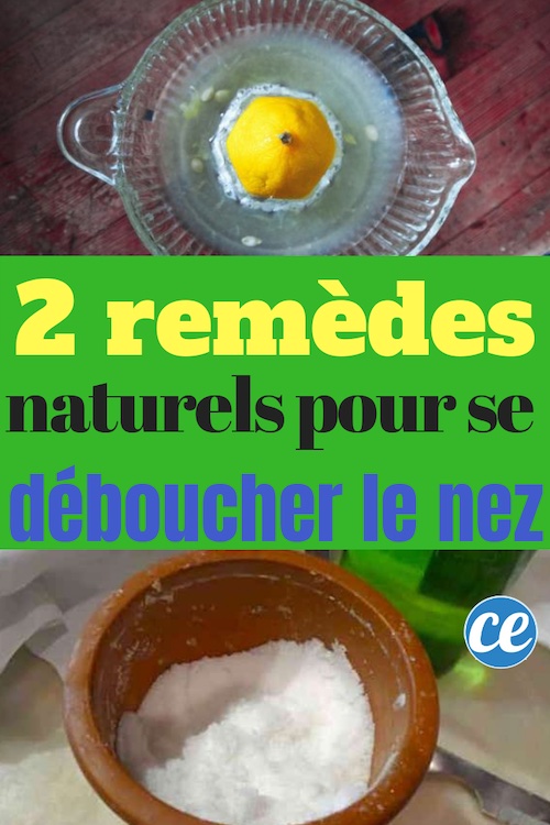 Comment se Déboucher le Nez Rapidement et Naturellement
