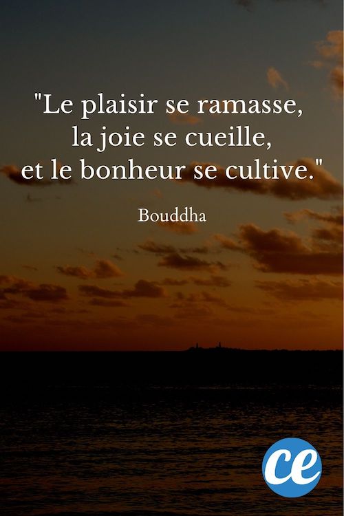 118 citations sur le bonheur (pour retrouver le sourire)