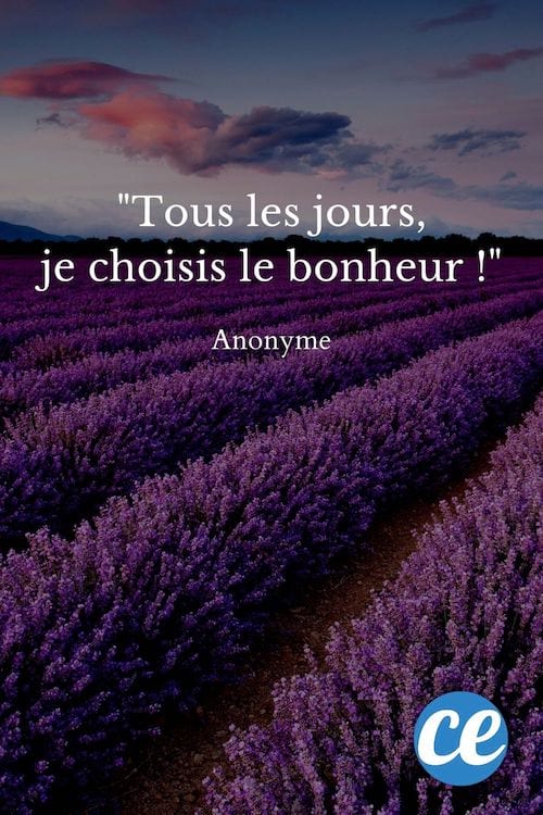 Tous les jours, je choisis le bonheur !