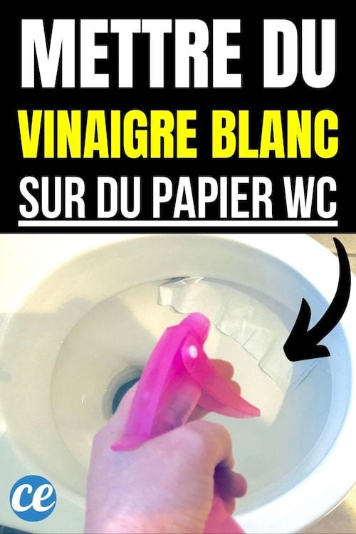 Du papier toilette est déposé dans la cuvette du Wc et du vinaigre blanc est pulvérisé dessus