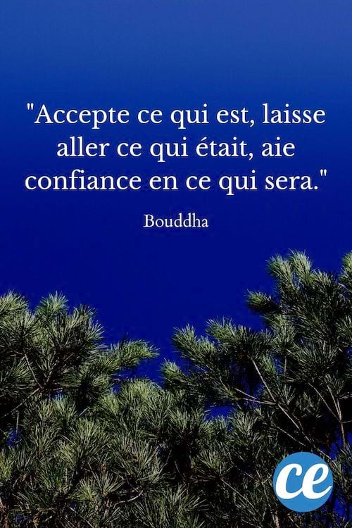 Accepte ce qui est, laisse aller ce qui était, aie confiance en ce qui sera
