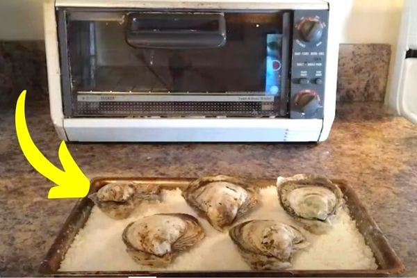 Ouvrir les huîtres en les passant au four toaster