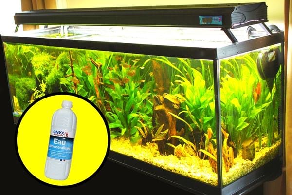 De l'eau déminéralisée dans un aquarium