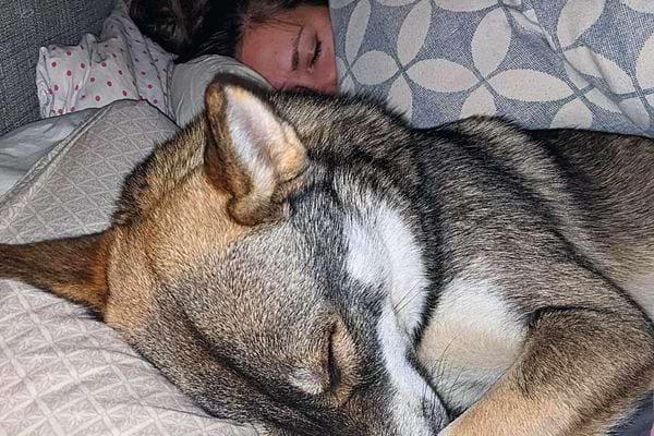 Une femme qui dort avec son chien 
