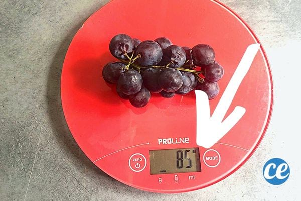 Une grappe de raisin sur une balance rouge 