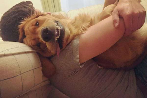 Un homme qui câline son chien 