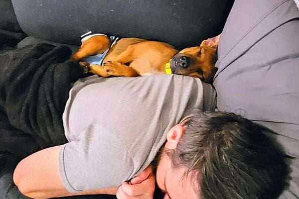 Un homme qui dort avec son chien 