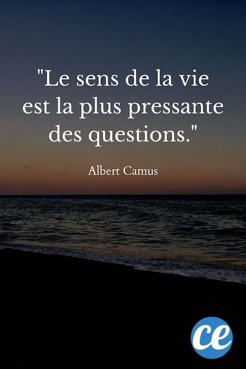 Le sens de la vie est la plus pressante des questions