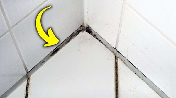 De la moisissure sur les joints de salle de bain 