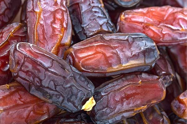 Des dattes qui protègent le cerveau des maladies neurodégénératives