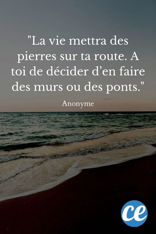 La vie mettra des pierres sur ta route. A toi de décider d’en faire des murs ou des ponts