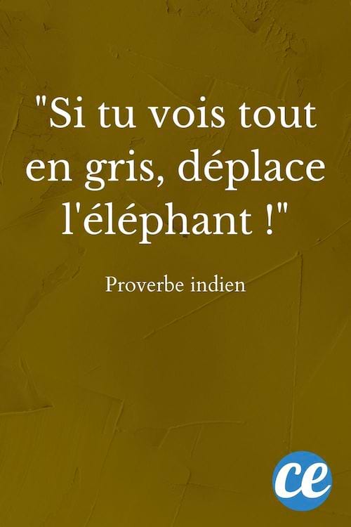 Si tu vois tout en gris, déplace l'éléphant