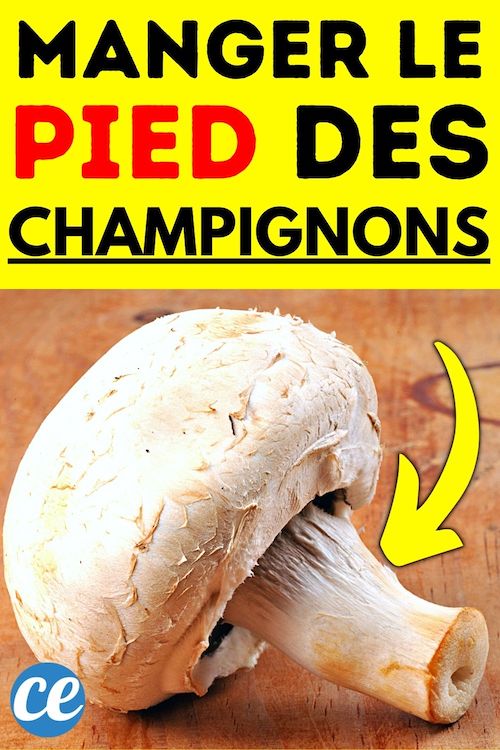 Fautil Enlever le Pied des Champignons de Paris ? Ou PeutOn les Manger