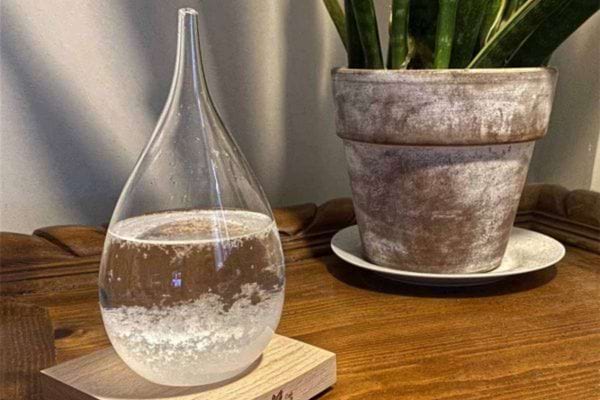 Un storm glass pour prédire le temps à proximité d'une plante