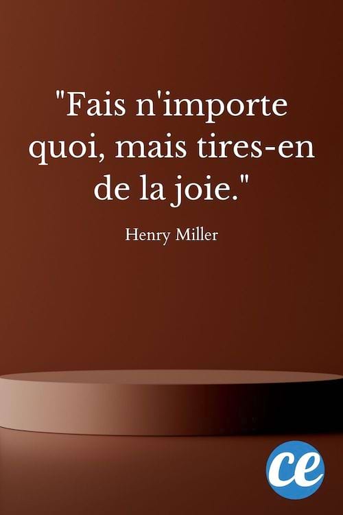 Fais n'importe quoi, mais tires-en de la joie