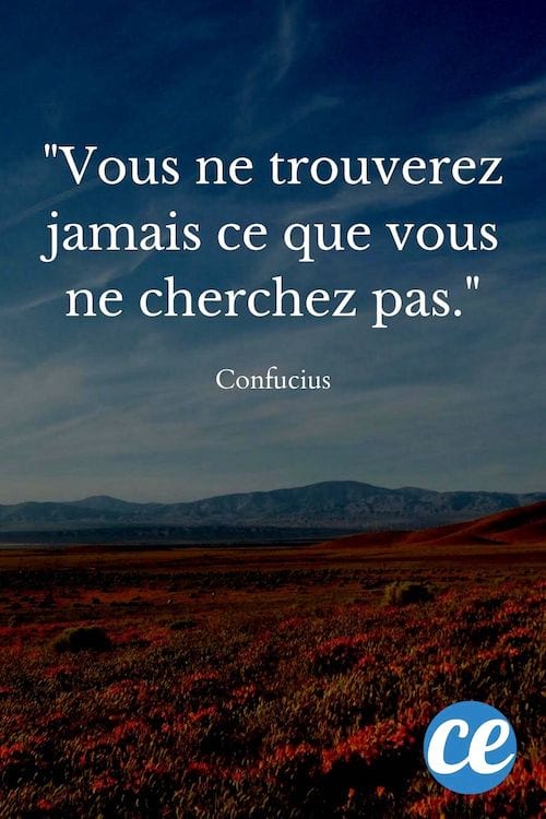 Vous ne trouverez jamais ce que vous ne cherchez pas