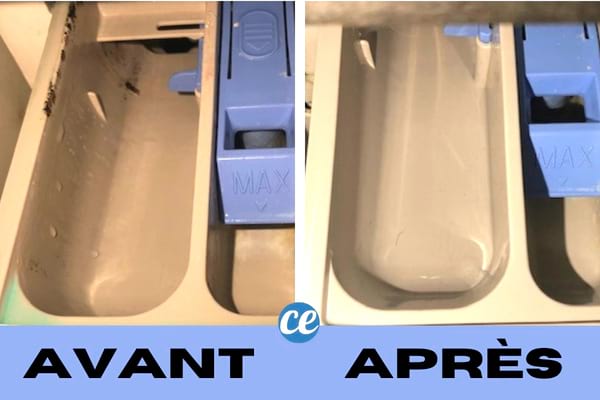 résultat avant après nettoyage bac à lessive