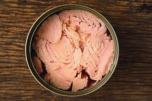 Une boîte de conserve de thon ouverte