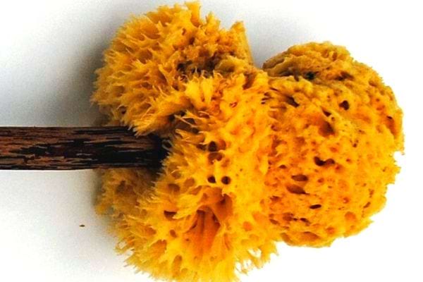 Une brosse avec une éponge jaune