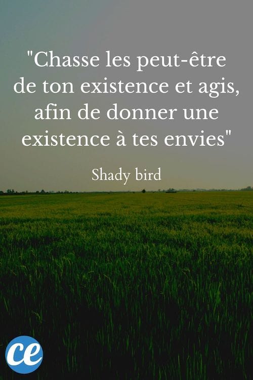 Chasse les peut-être de ton existence et agis, afin de donner une existence à tes envies