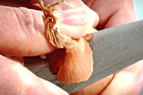 Une personne qui coupe l'extrémité d'une échalote avec un couteau