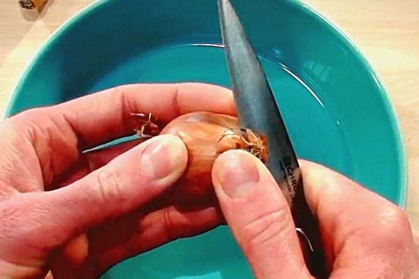 Une personne faisant une petite coupure dans la peau d'une échalote