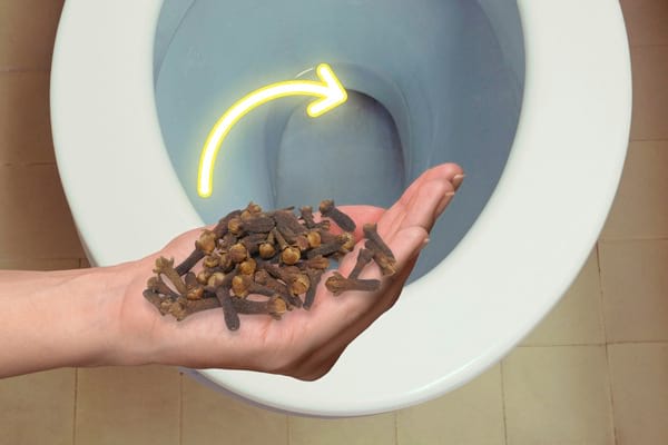 Nelken in einer Hand über einer Toilettenschüssel