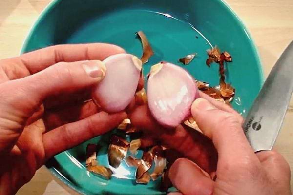 Une échalote coupé en deux parties au dessus d'une grande coupelle verte