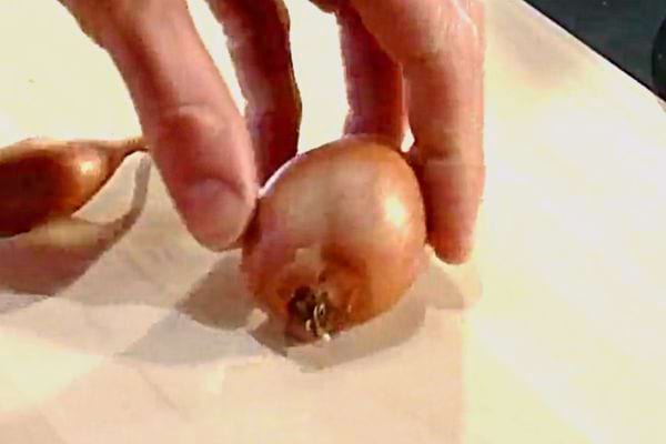 Une échalote qui est posée sur une planche à découper